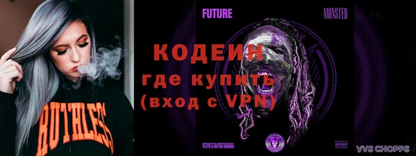 индика Арсеньев