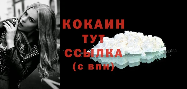 сатива Армянск