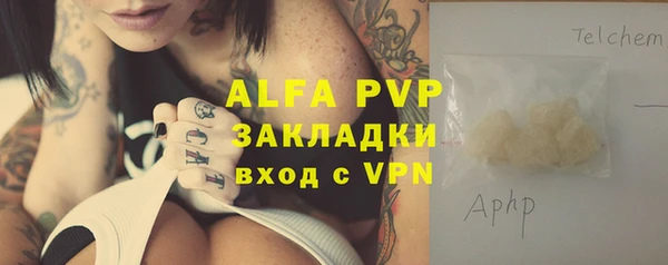 индика Арсеньев