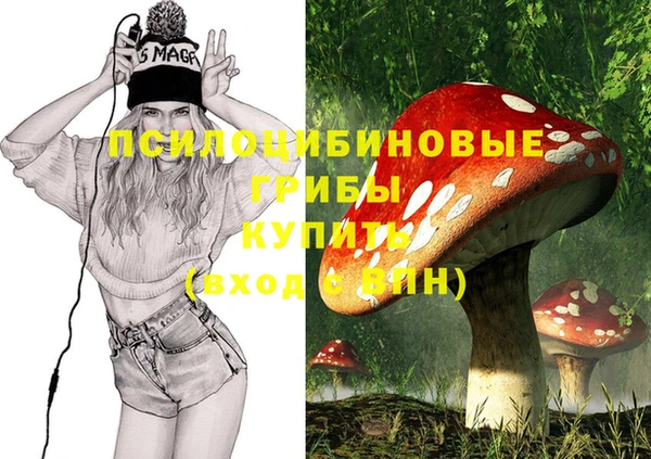 сатива Армянск