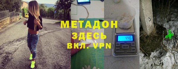 индика Арсеньев