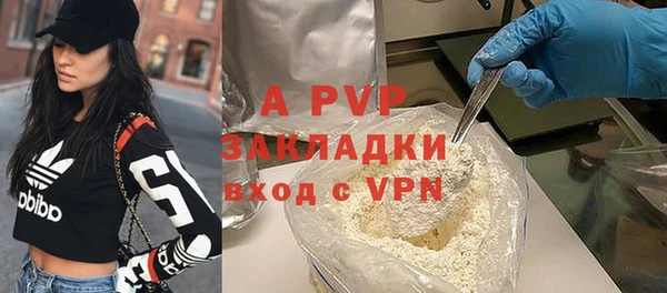 индика Арсеньев