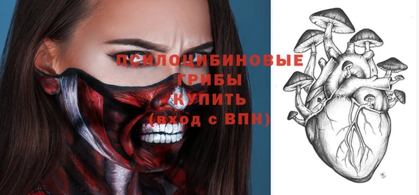 сатива Армянск