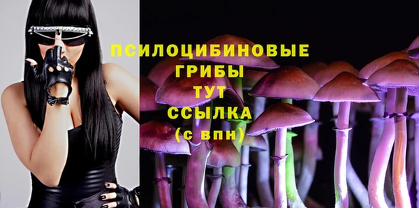 индика Арсеньев