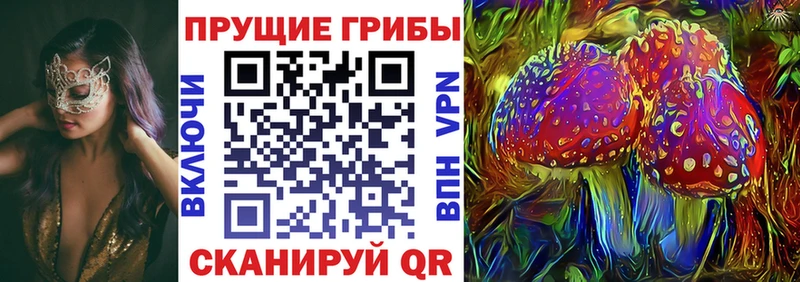 Псилоцибиновые грибы Cubensis  Скопин 